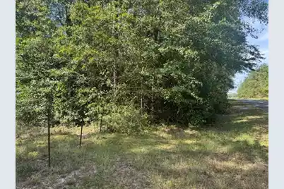 1651, 1571 Creek Mill Road, North, SC 29112 - Photo 3