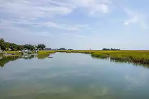 5043 Barrier Island Ct, Mount Pleasant, SC 29466 - Photo 35