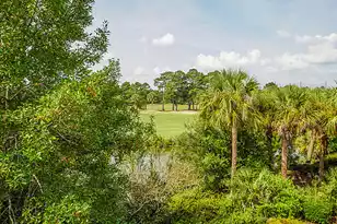 5043 Barrier Island Ct, Mount Pleasant, SC 29466 - Photo 65