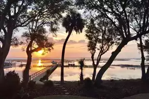 5043 Barrier Island Ct, Mount Pleasant, SC 29466 - Photo 75