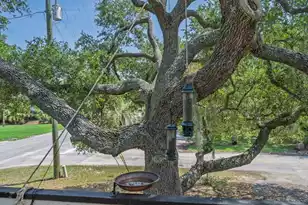 2002 Myrtle St, Edisto Island, SC 29438 - Photo 29