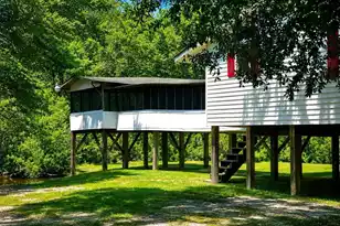 1239 Holly Ridge Ln, Cottageville, SC 29435 - Photo 29