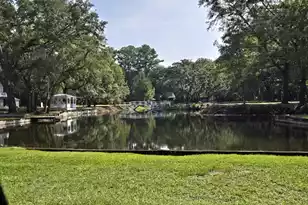 6302 Hwy 165, Ravenel, SC 29470 - Photo 13