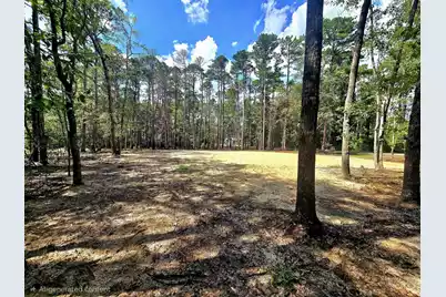 0 White Sands Road, Walterboro, SC 29488 - Photo 3
