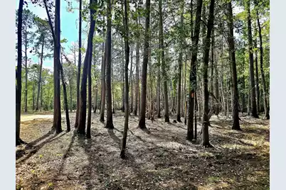 0 White Sands Road, Walterboro, SC 29488 - Photo 5
