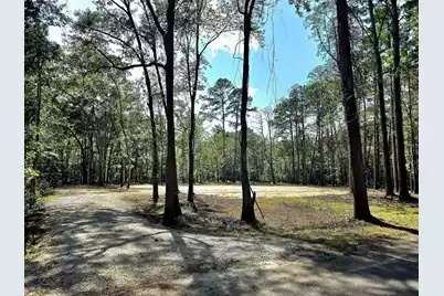 0 White Sands Road, Walterboro, SC 29488 - Photo 1