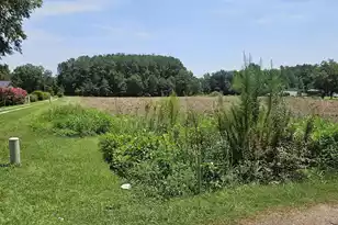 0 Wolfman Ln, Saint Stephen, SC 29479 - Photo 1