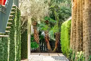101 Battery Street S, Charleston, SC 29401 - Photo 25