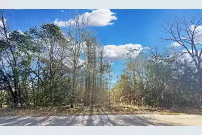 475 Coleman Avenue, Orangeburg, SC 29115 - Photo 1