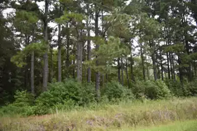 Tbd Burgess Road, Greeleyville, SC 29056 - Photo 1