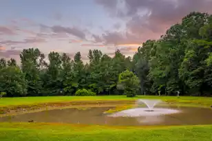 6682 Hwy 17 N, Awendaw, SC 29429 - Photo 9