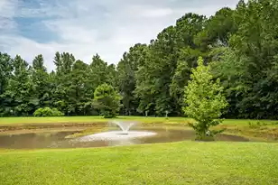 6682 Hwy 17 N, Awendaw, SC 29429 - Photo 49