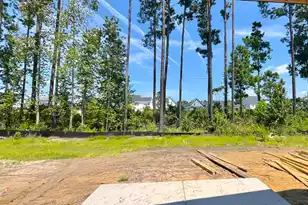 392 Brightside Trl, Summerville, SC 29486 - Photo 3