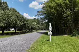 4-C Marjorie Ln, Ridgeville, SC 29472 - Photo 3