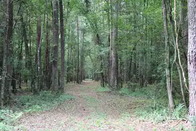 00 4 Holes Road, Orangeburg, SC 29115 - Photo 31