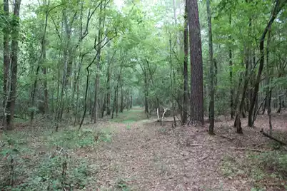 00 4 Holes Road, Orangeburg, SC 29115 - Photo 25