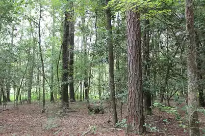 00 4 Holes Road, Orangeburg, SC 29115 - Photo 19