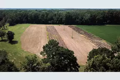 00 4 Holes Road, Orangeburg, SC 29115 - Photo 3