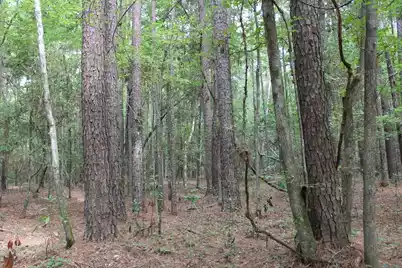 00 4 Holes Road, Orangeburg, SC 29115 - Photo 21