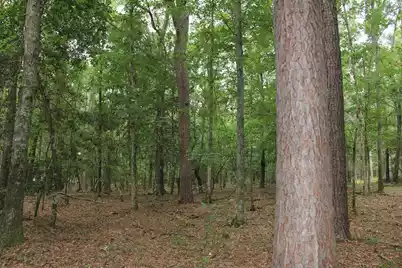 00 4 Holes Road, Orangeburg, SC 29115 - Photo 17