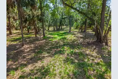 0 Palmetto Road, Edisto Island, SC 29438 - Photo 19