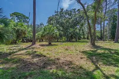 0 Palmetto Road, Edisto Island, SC 29438 - Photo 1