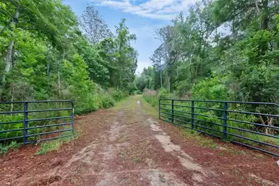 7855 Mary Seabrook Road, Edisto Island, SC 29438 - Photo 5