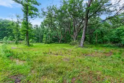 7855 Mary Seabrook Road, Edisto Island, SC 29438 - Photo 3