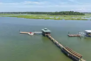 354 Cottage Farm Dr, Beaufort, SC 29902 - Photo 57