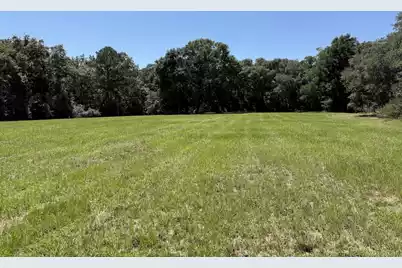7817 Little Britton Road (Lot A-1), Meggett, SC 29449 - Photo 13