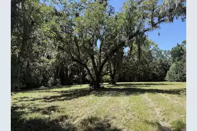 7817 Little Britton Road  (Lot A-4), Meggett, SC 29449 - Photo 9