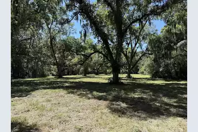 7817 Little Britton Road(Lot C-1-A), Meggett, SC 29449 - Photo 9