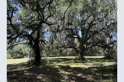 7817 Little Britton Road(Lot C-1-A), Meggett, SC 29449 - Photo 1