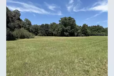 7817 Little Britton Road(Lot C-1-B), Meggett, SC 29449 - Photo 11