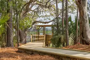 3612 Goodwater St, Mount Pleasant, SC 29466 - Photo 67