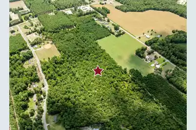 355 McClam Road, Cades, SC 29518 - Photo 9