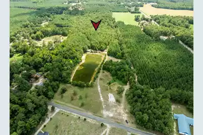 355 McClam Road, Cades, SC 29518 - Photo 5