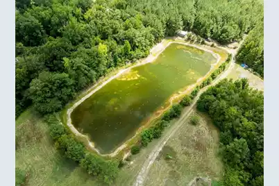 355 McClam Road, Cades, SC 29518 - Photo 3