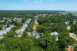 3144 Treadwell St, Mount Pleasant, SC 29466 - Photo 71