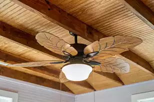 213 Cooper Ave E, Folly Beach, SC 29439 - Photo 19