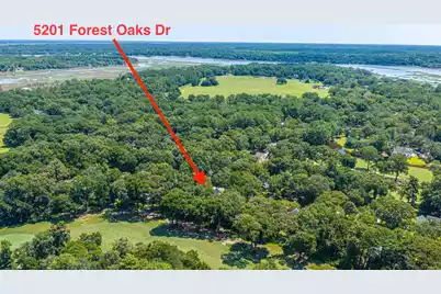 5201 Forest Oaks Drive, Hollywood, SC 29449 - Photo 49
