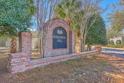 141 Darcy Avenue, Goose Creek, SC 29445 - Photo 33