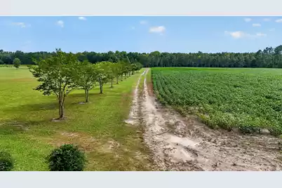703 Bay Road, Rowesville, SC 29133 - Photo 103