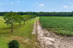 703 Bay Rd, Rowesville, SC 29133 - Photo 103
