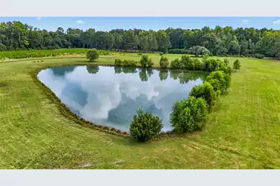 703 Bay Road, Rowesville, SC 29133 - Photo 107