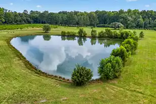 703 Bay Rd, Rowesville, SC 29133 - Photo 107