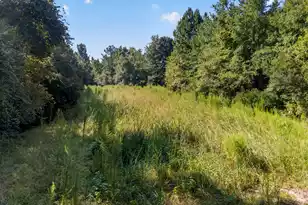 1218 Misty Ridge Ln, Walterboro, SC 29488 - Photo 1
