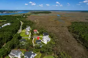 1462 Alligator Creek Ct, Awendaw, SC 29429 - Photo 109