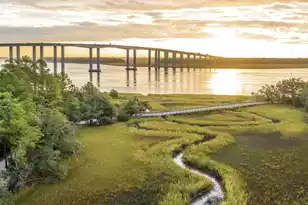 847 Dunham St, Daniel Island, SC 29492 - Photo 83