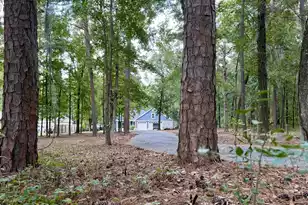 3 Hickory Landing Ct, Elloree, SC 29047 - Photo 3